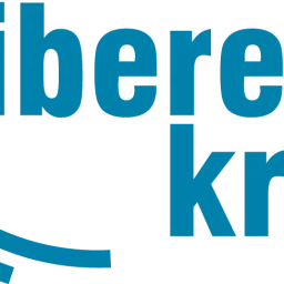 LK Logotype PANTONE 633 U